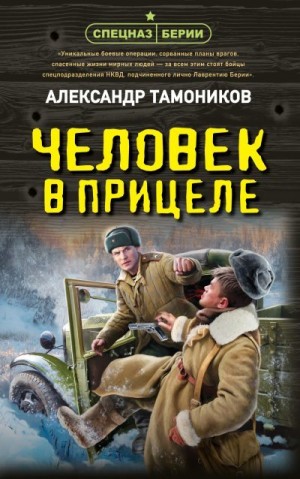 Тамоников Александр - Человек в прицеле