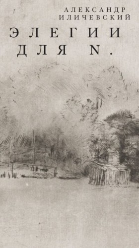 Иличевский Александр - Элегии для N.