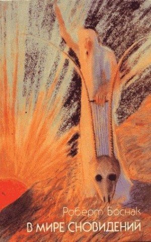 Роберт Боснак - В мире сновидений