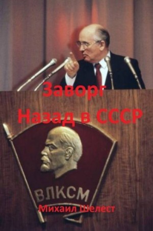 Шелест Михаил - Заворг. Назад в СССР