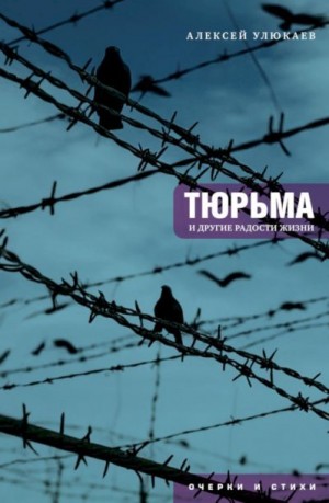 Улюкаев Алексей - Тюрьма и другие радости жизни. Очерки и стихи