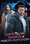 Дайвер Энни - Новогодний подарок майора Морозова