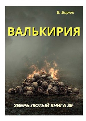cкачать книгу Владимир Бирюк Валькирия