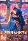 Герр Ольга - Зимние каникулы, или Любовь в подарок на Новый год
