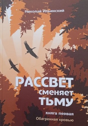 Ильинский Николай - Рассвет сменяет тьму. Книга первая: Обагренная кровью