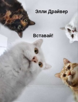 Драйвер Элли - Вставай!