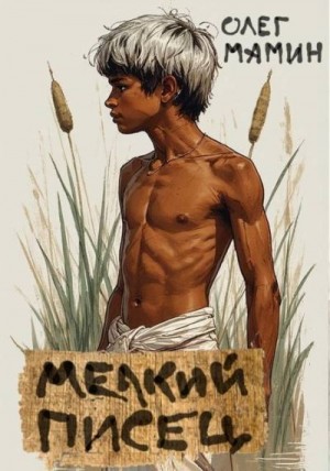 Мамин Олег - Мелкий писец