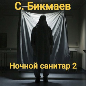 Бикмаев Сергей - Ночной санитар 2