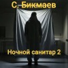 Бикмаев Сергей - Ночной санитар 2