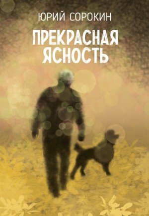 Сорокин Юрий - Прекрасная ясность