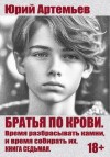 Артемьев Юрий - Время разбрасывать камни, и время собирать их