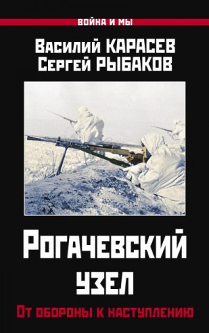 Карасев Василий, Рыбаков Сергей - Рогачевский узел. От обороны к наступлению