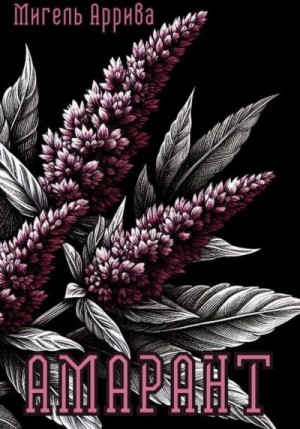 Аррива Мигель - Амарант