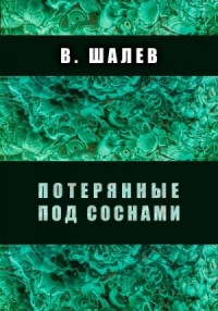 Потерянные под соснами