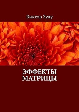 Зуду Виктор - Эффекты матрицы