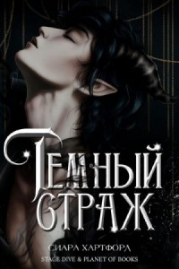 Темный Страж