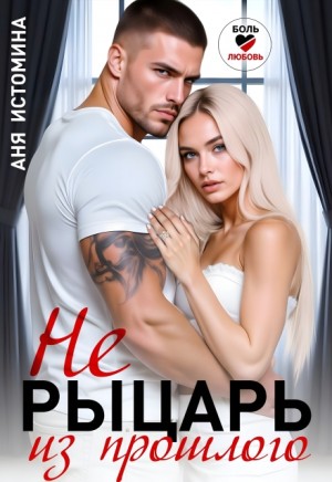 cкачать книгу Аня Истомина Не рыцарь из прошлого
