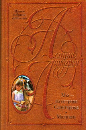 Линдгрен Астрид - Мы на острове Сальткрока