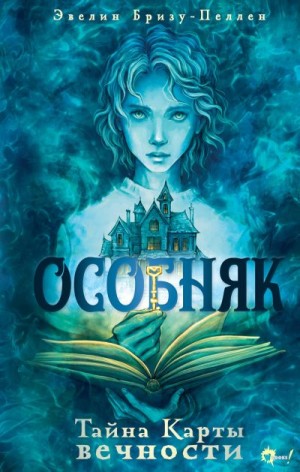 Бризу-Пеллен Эвелин - Тайна Карты вечности