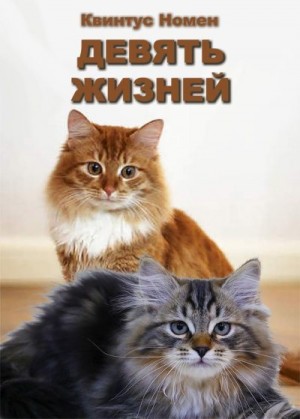 Номен Квинтус - Девять жизней