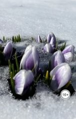 Гончарова Наталья Владимировна - Русский романс