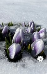 Русский романс