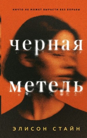 Стайн Элисон - Черная метель