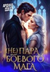 Шатз Ардана - (Не) пара для боевого мага