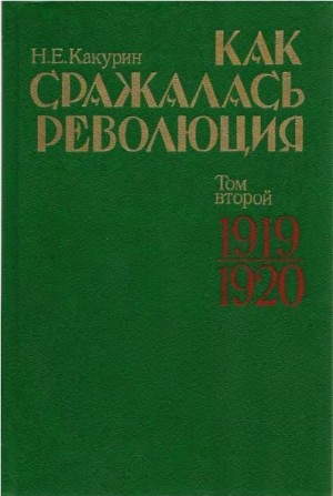 Какурин Николай - Как сражалась революция. Том 2. 1919–1920 гг.