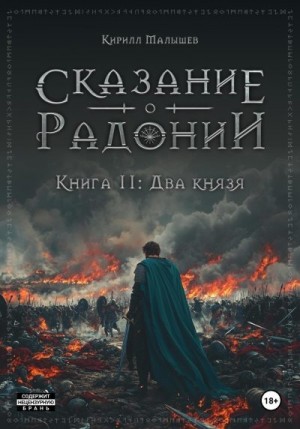 cкачать книгу Кирилл Малышев Два князя