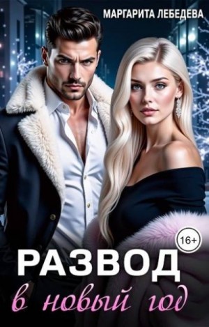 Лебедева Маргарита - Развод в новый год