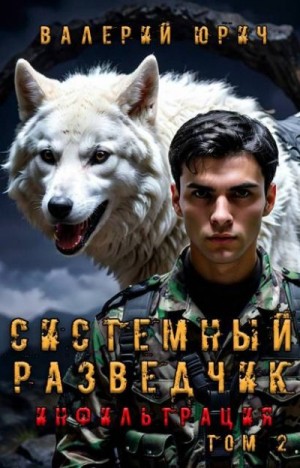 Юрич Валерий - Системный разведчик. Инфильтрация. Том 2