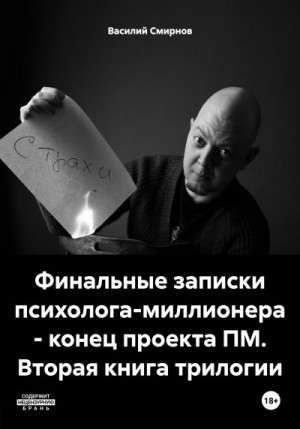 Смирнов Василий - Финальные записки психолога-миллионера – конец проекта ПМ. Вторая книга трилогии