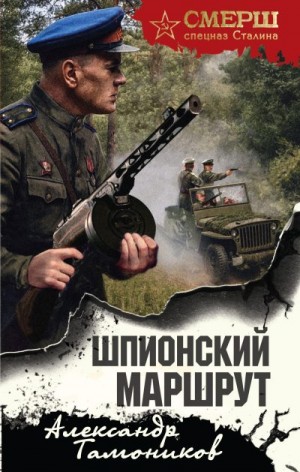 Тамоников Александр - Шпионский маршрут