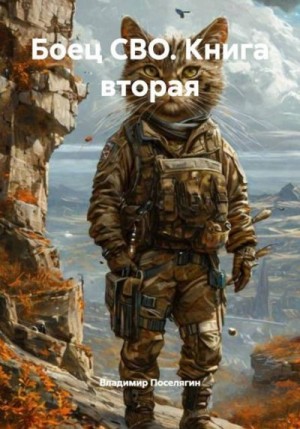Поселягин Владимир - Боец СВО. Книга вторая