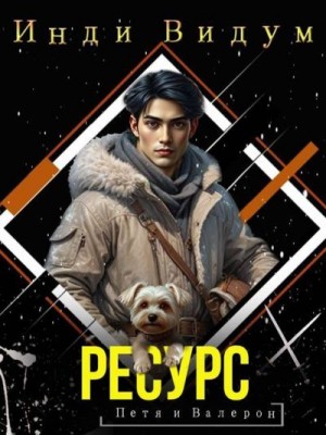 cкачать книгу Инди Видум Ресурс