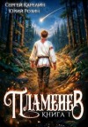 Карелин Сергей, Розин Юрий - Пламенев. Книга I