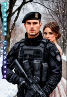 cкачать книгу Ария Шерман Правила сгорания