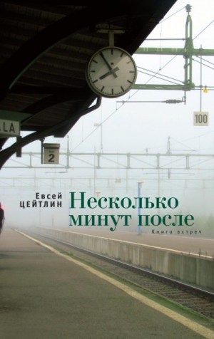 Цейтлин Евсей - Несколько минут после. Книга встреч