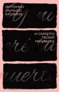 И смерти твоей не увижу