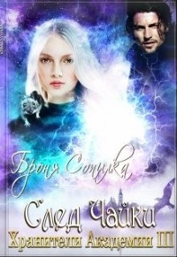 Хранители Академии. След Чайки