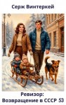 Винтеркей Серж - Ревизор: возвращение в СССР 53