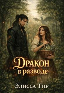 Тир Элисса - Дракон в разводе