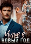 Мель Кара - Чудов в Новый год