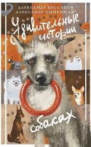 Удивительные истории о собаках