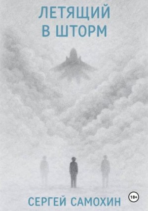 Самохин Сергей - Летящий в шторм