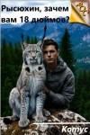 Котус - Рысюхин, зачем вам восемнадцать дюймов?