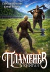 Карелин Сергей, Розин Юрий - Пламенев. Книга V