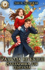 Развода не будет! Мандаринка для генерала