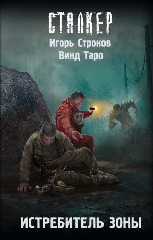 Строков Игорь, Винд Таро - Истребитель Зоны